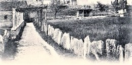 carèe ventivi banner blog