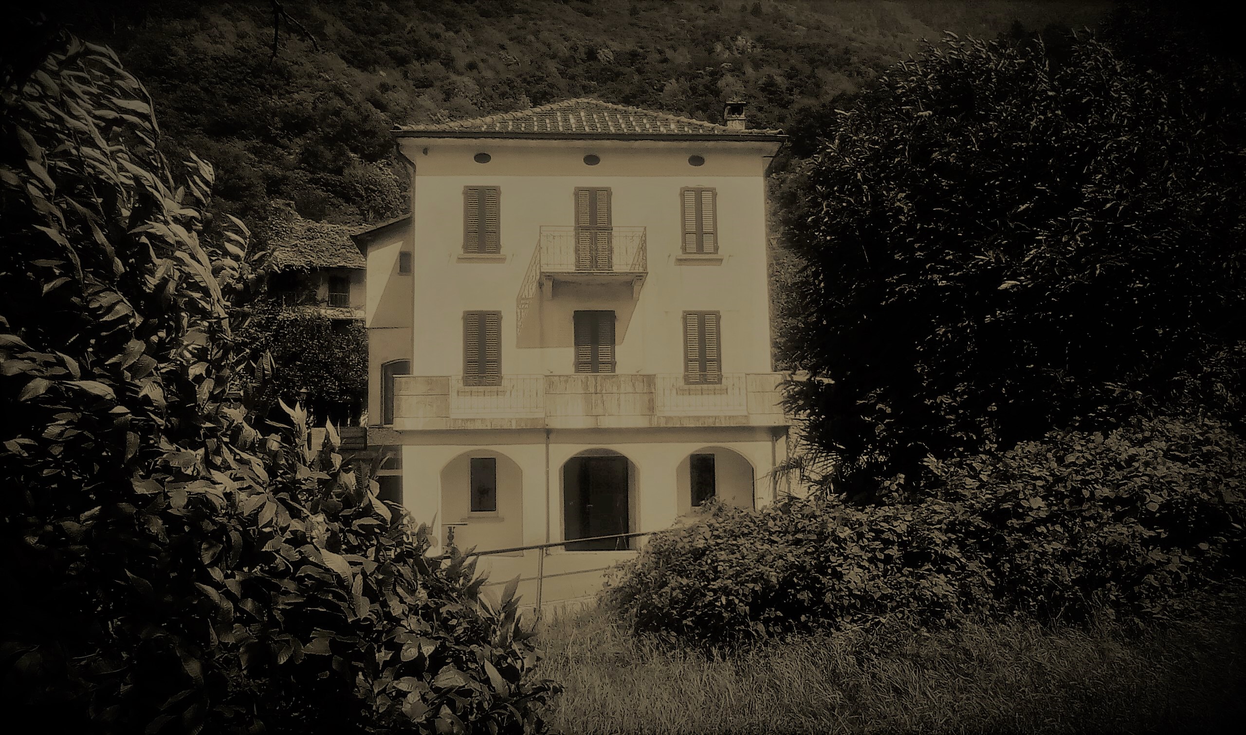 ca dala gana 2 - 2018