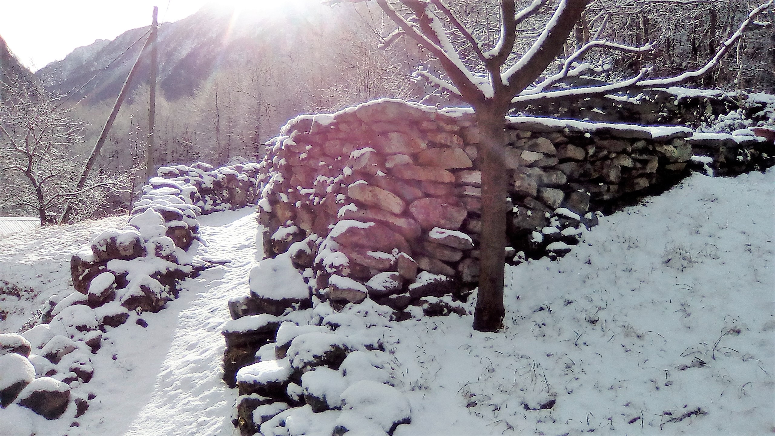 sonlerto gennaio 2018